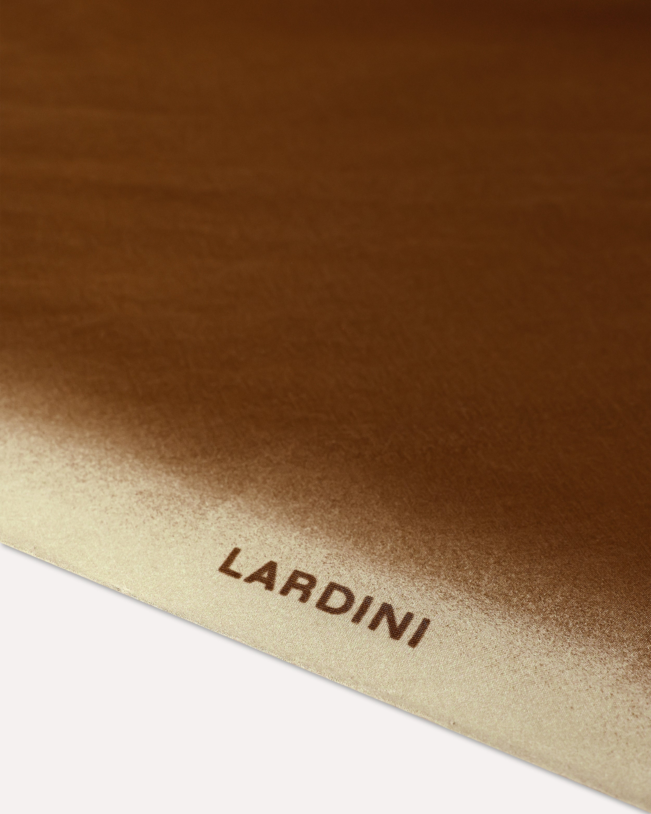 Foulard marron en coton et soie BROWN Lardini 3