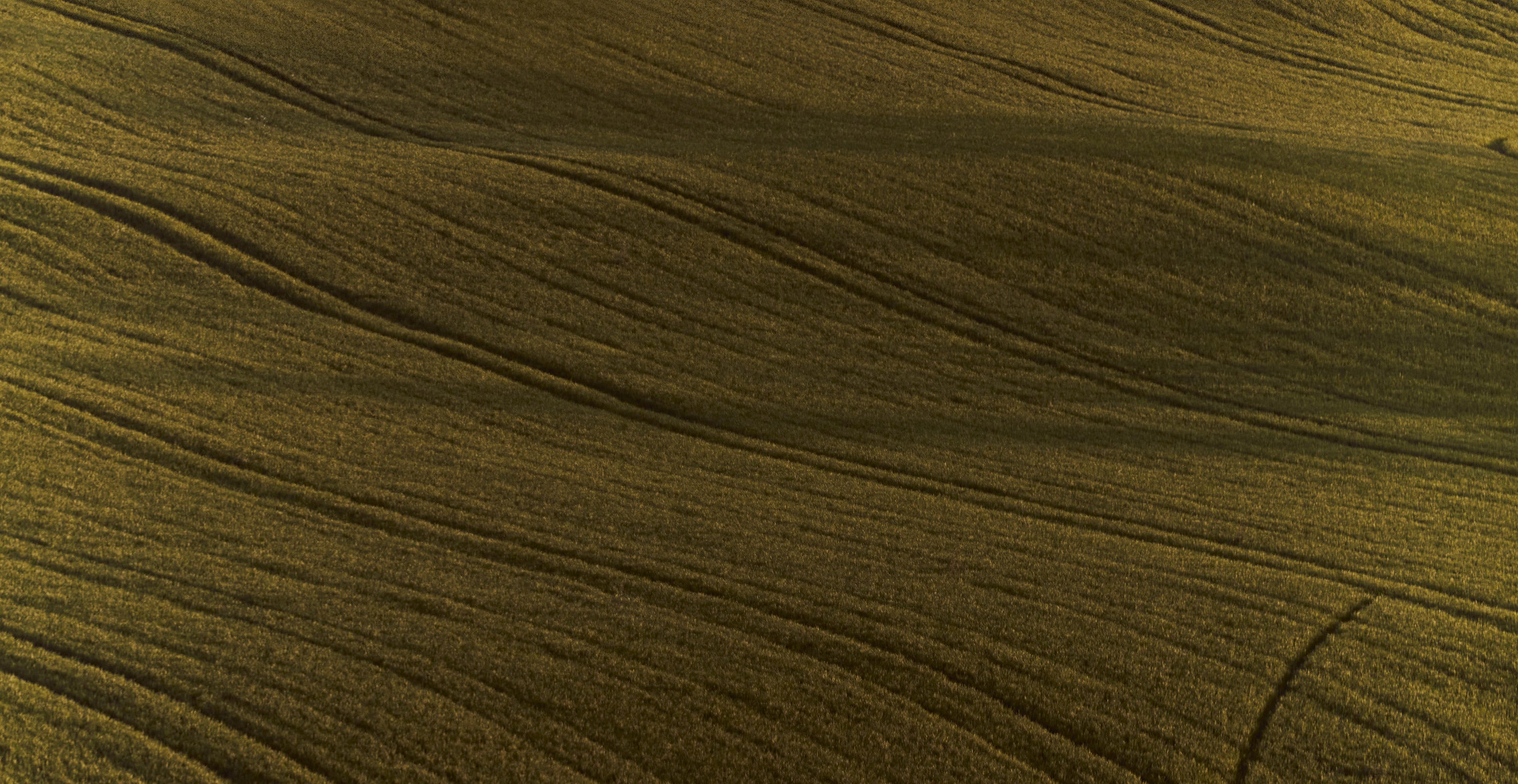 Lardini Scrolling Banner - Background