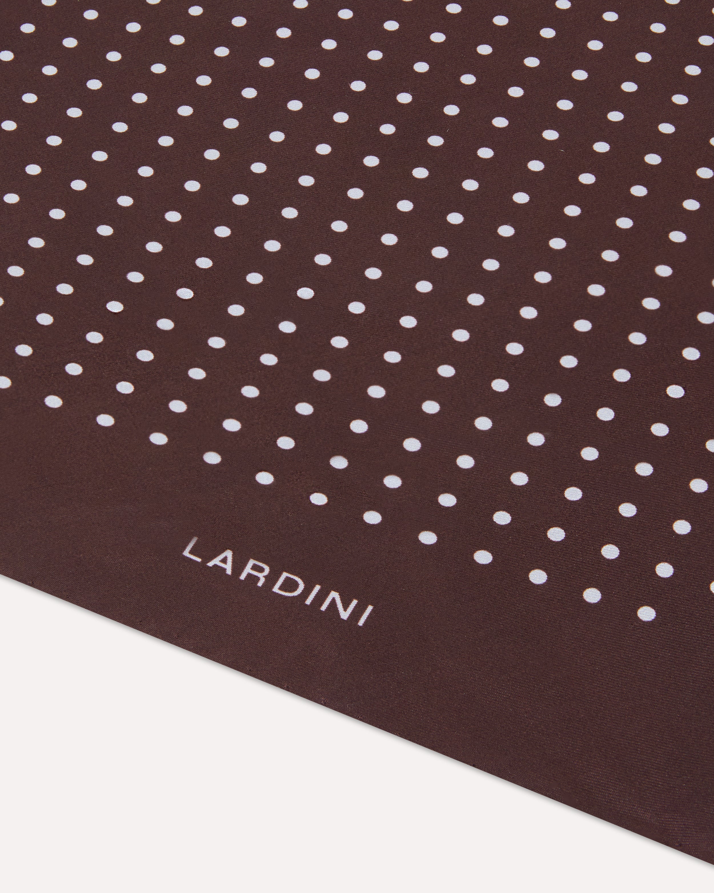 Brown and light blue silk scarf BROWN/SKY BLUE Lardini 2