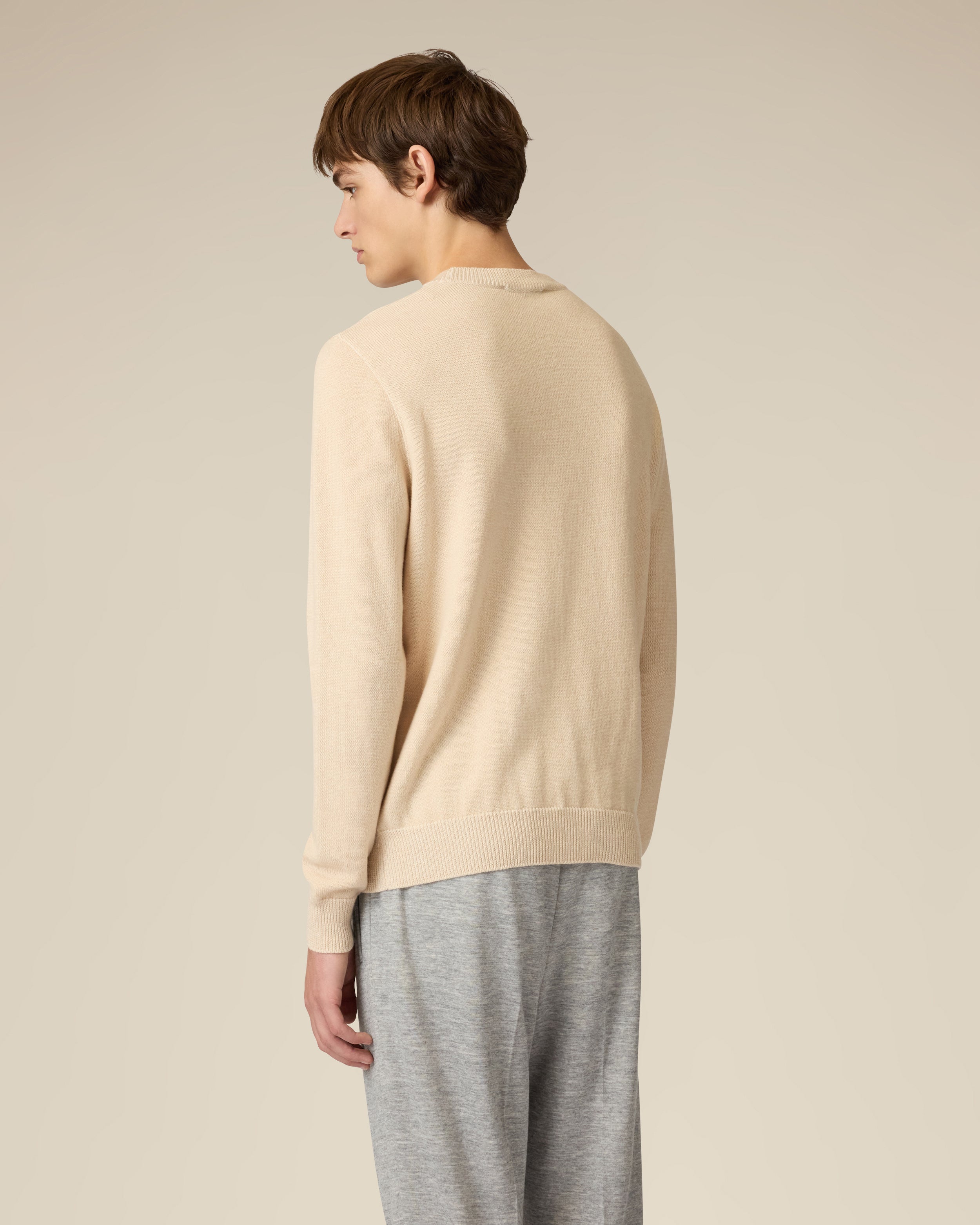 Rundhalspullover aus Wolle und Kaschmir in Beige und Creme BEIGE/CREAM Lardini 5