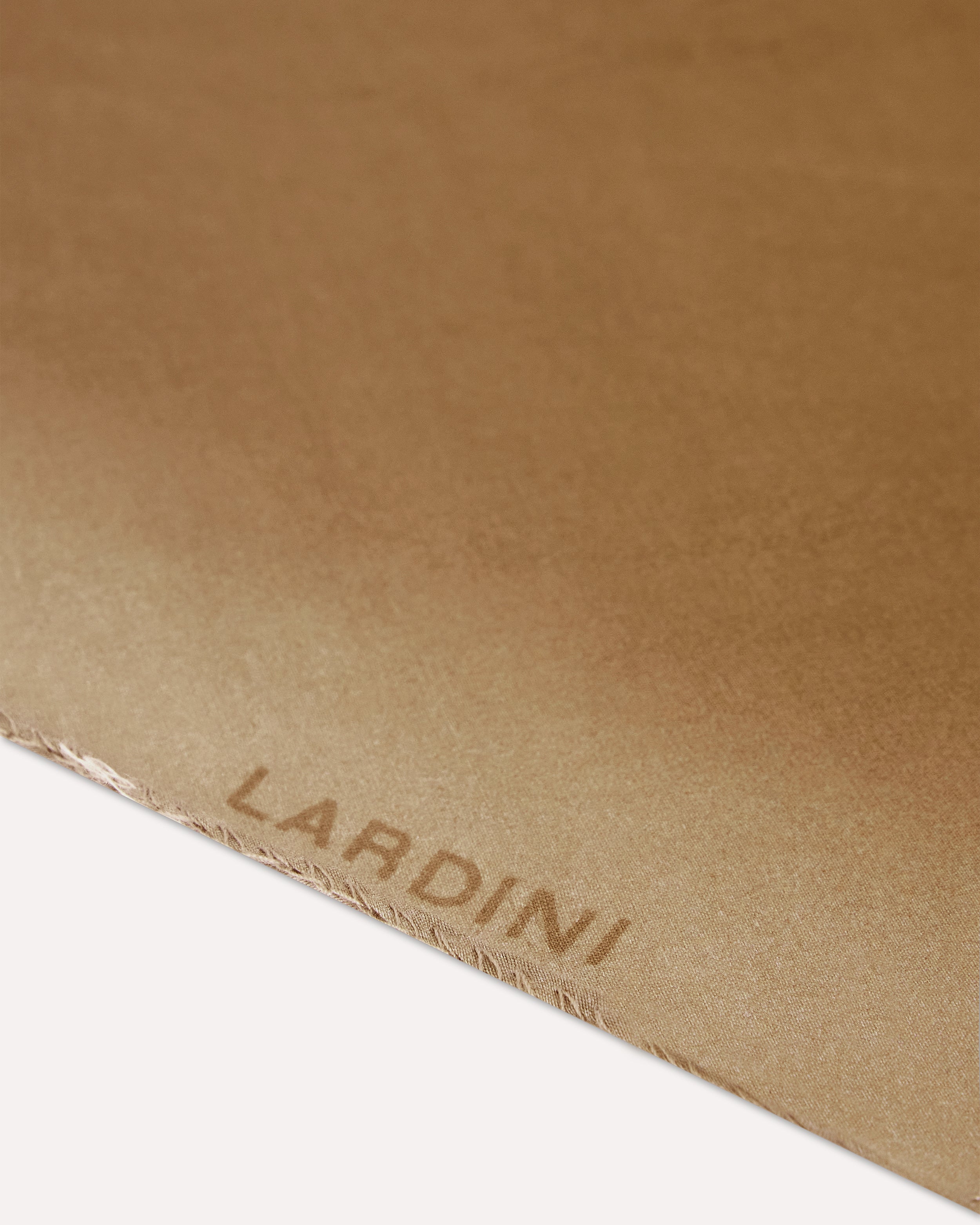 Beige cotton and silk scarf BEIGE Lardini 2