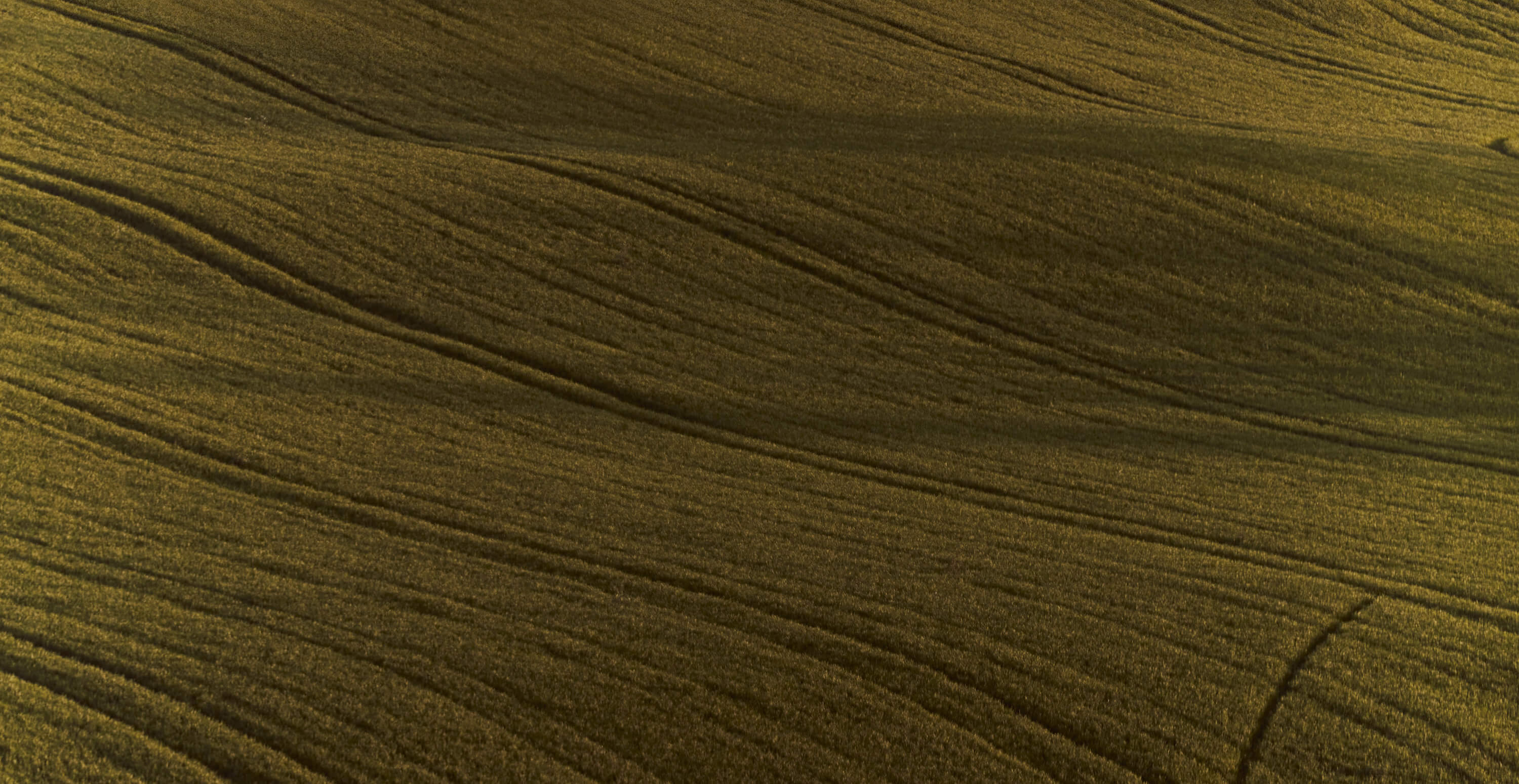 Lardini Scrolling Banner - Background